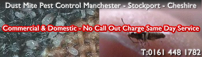 Pest Control Manchester