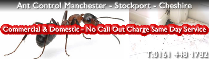 Ants Pest Control Manchester
