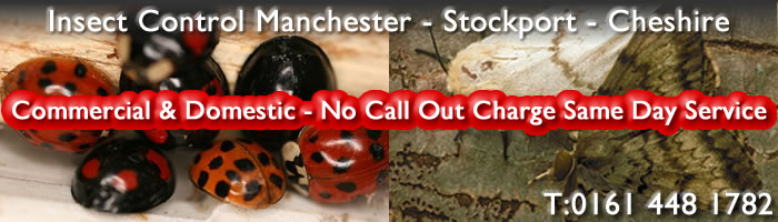 Pest Control Manchester